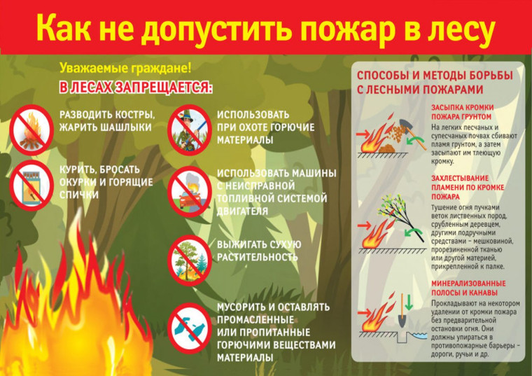 Как не допускать пожар в лесу!. Как не допускать пожар в лесу!.